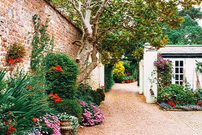 advisory portfolios image of a garden in the summer