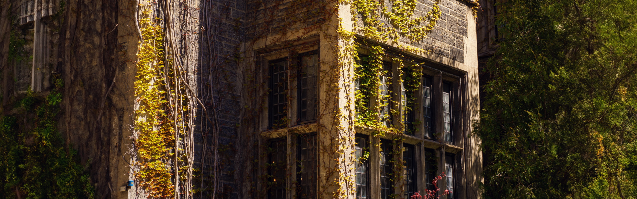 Insititutional consulting image of a building covered in ivy