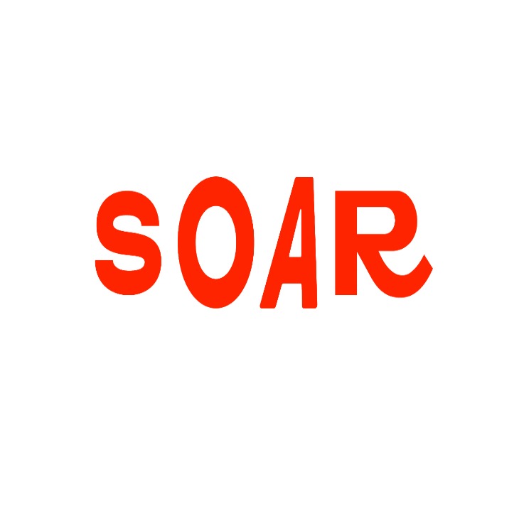 Soar Foundation logo
