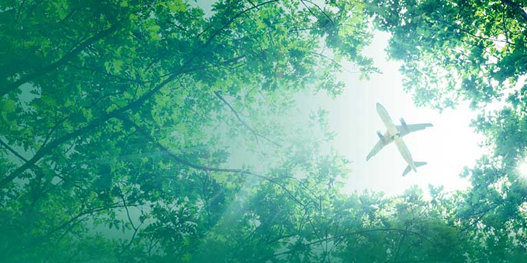 Ensuring a sustainable future for aviation image of a forrest and an airplane