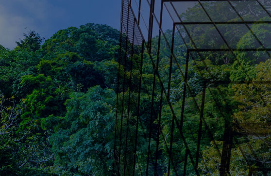 Future Proofing Financial Reporting image of a green building