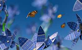 Banking on net zero image of a butterfly and a solar flower