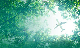 Event Ensuring a sustainable future for aviation image of a forrest