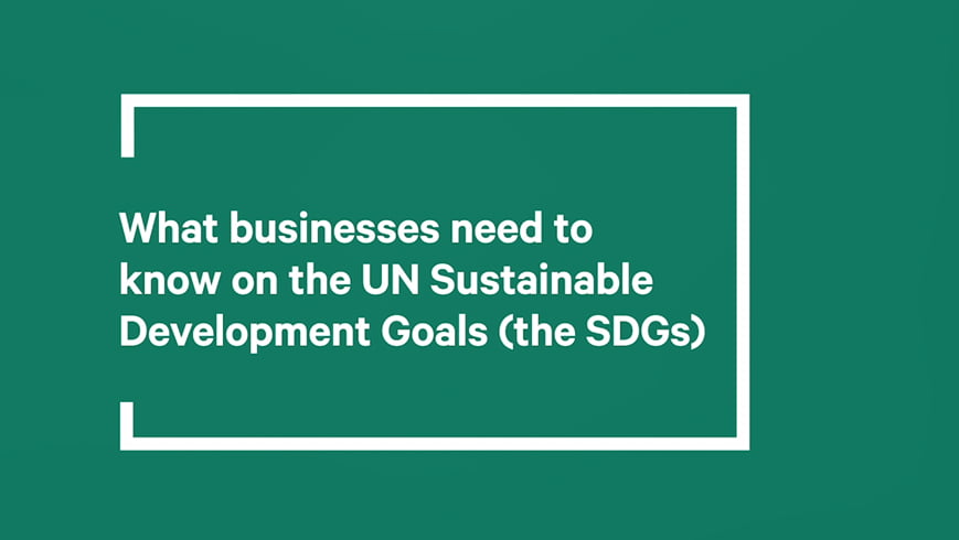 UN Sustainable Development Goals video thumbnail