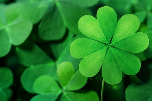 Credit Union March newsletter image of an eight leaf clover