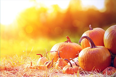 October newsletter image of pumpkins