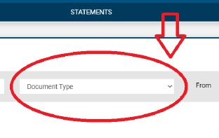 Document type dropdown