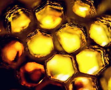 Institutional consulting image of honeycomb