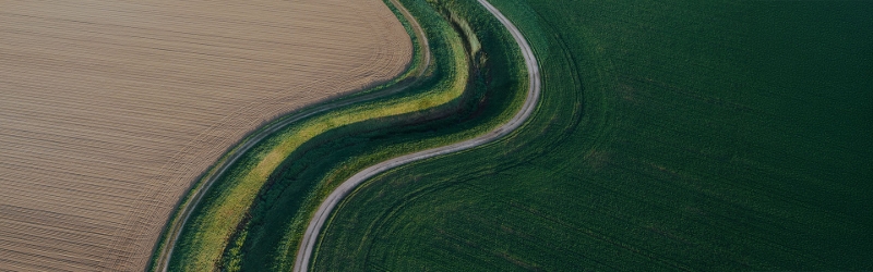 Image of a winding road through fields of green and gold in colour