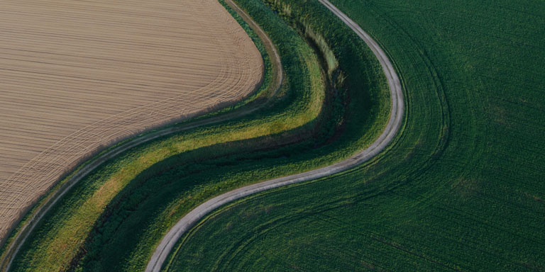 Image of a winding road through fields of green and gold in colour