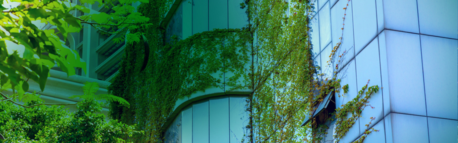Image of office building with ivy growing on it