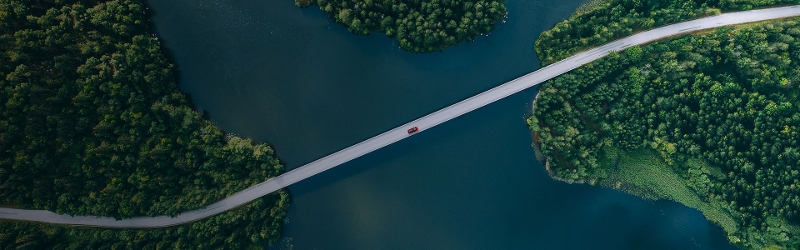 A road through a forest landscape