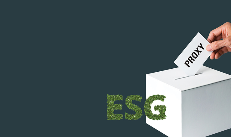 Stewardship and ESG image of a Voting box