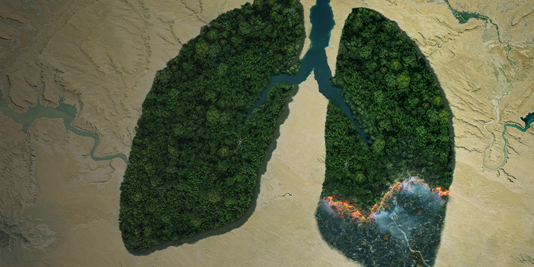 Davy Horizons Biodiversity whitepaper illustration of a burning forest in the shape of human lungs.