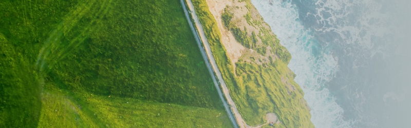 climage change whgitepaper image of the sea meeting a green coast