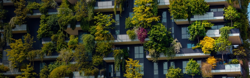Apartment building with loads of plants on the balconies.