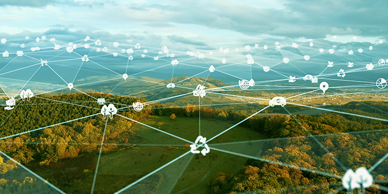 Network connecting across green forestland.