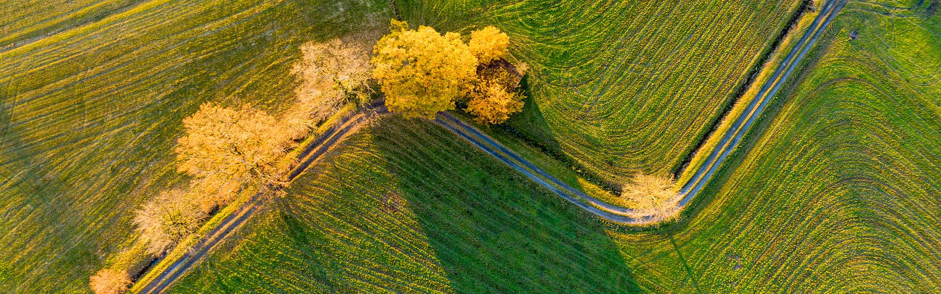 Image of country landscape with winding road