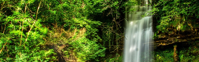 Green woodland with waterfall