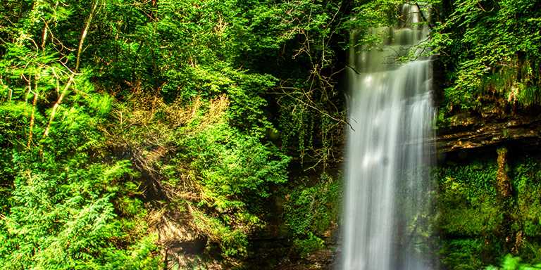 Green woodland with waterfall