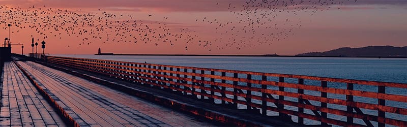 helping you along your journey image of a bridge at sunset