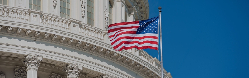 Image of American flag in front of Capitol Hill