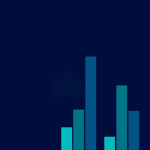 Budget 2027 blue bar chart banner