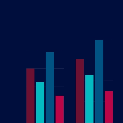 Budget 2027, banner bar chart