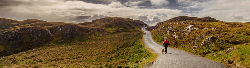 Man walking dog down a winding road Ireland