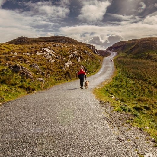 Man walking dog down a winding road Ireland
