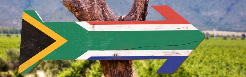 South African wooden arrow with flag nailed on branch