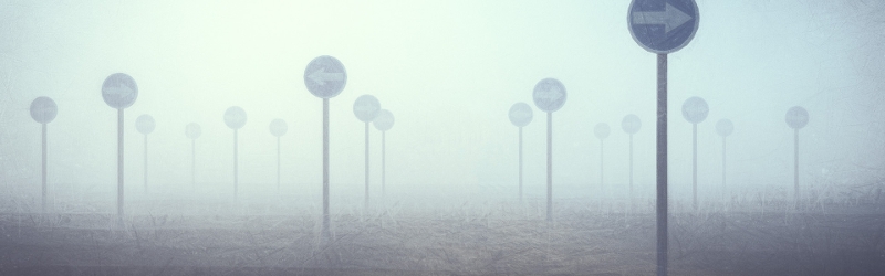A field of sign posts pointing in opposite directions.