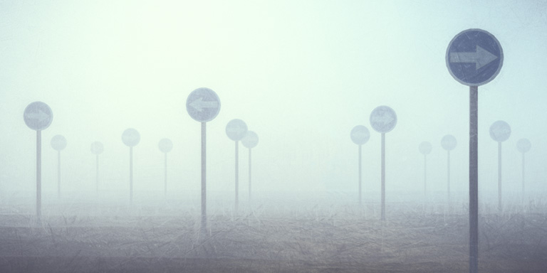 A field of sign posts pointing in opposite directions.