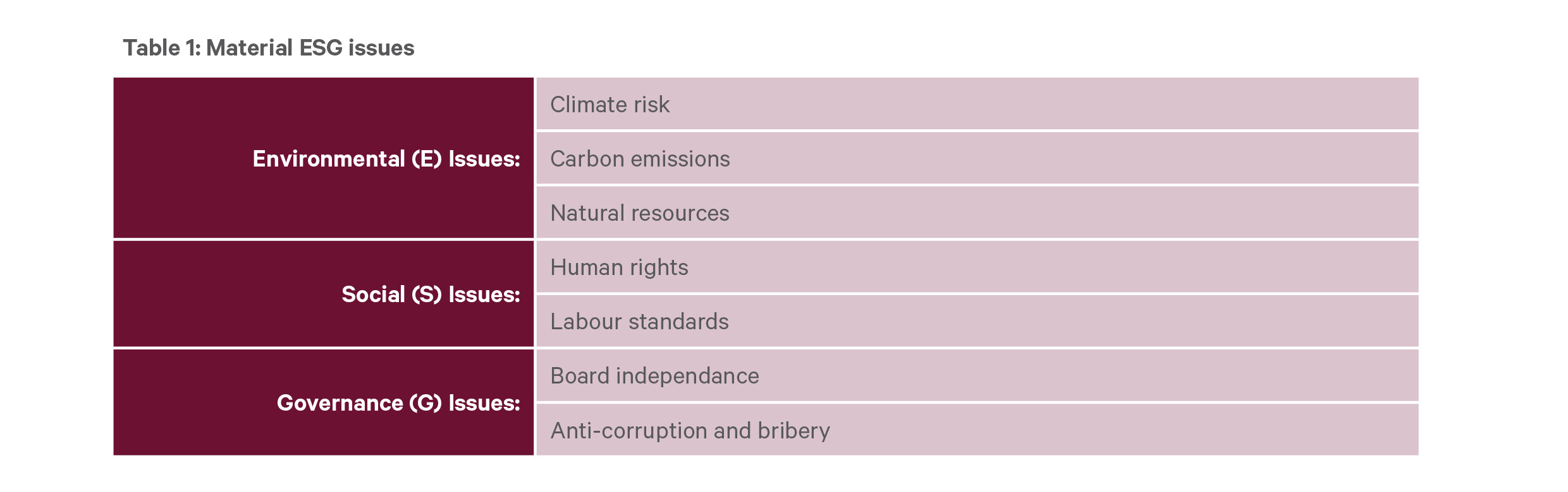Table showing material ESG issues
