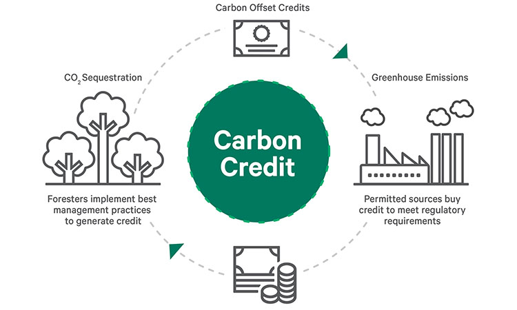 fighting-climate-change-what-are-carbon-credits-davy
