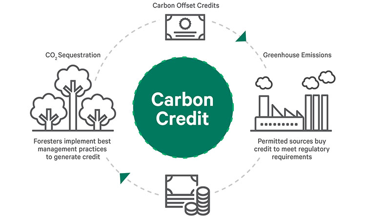 research paper on carbon credit accounting