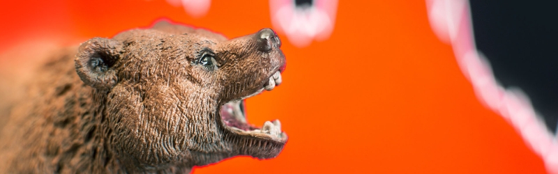 Brown bear roaring at a linear graph