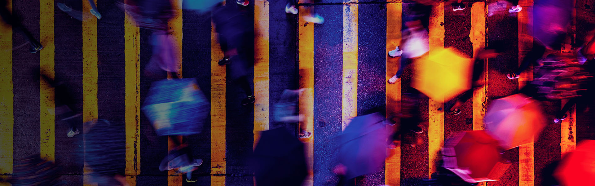 People walking across a road in the rain with umbrellas