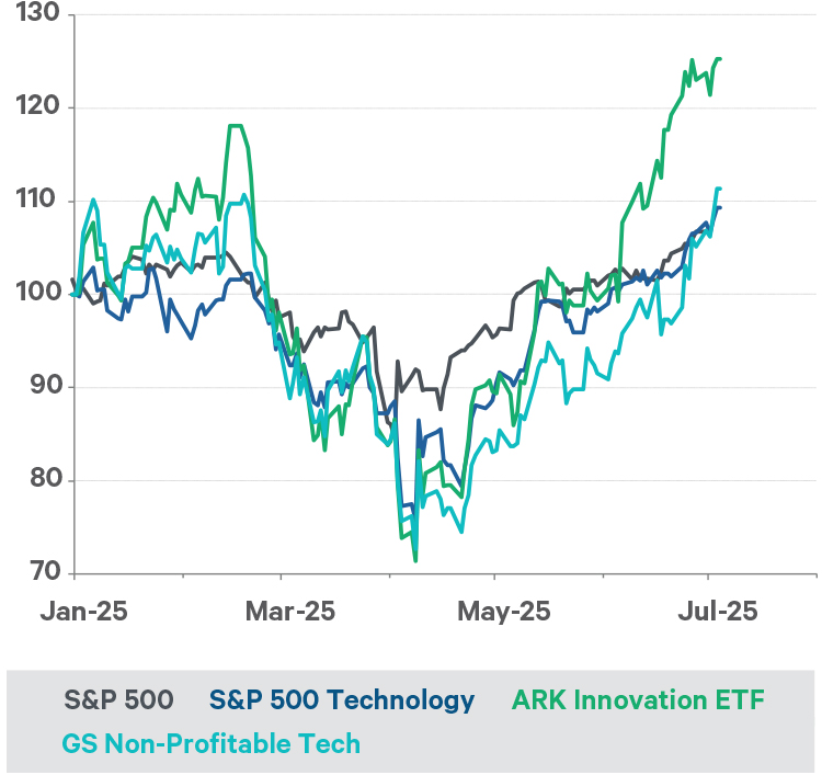 Speculative behaviour in speculative stocks